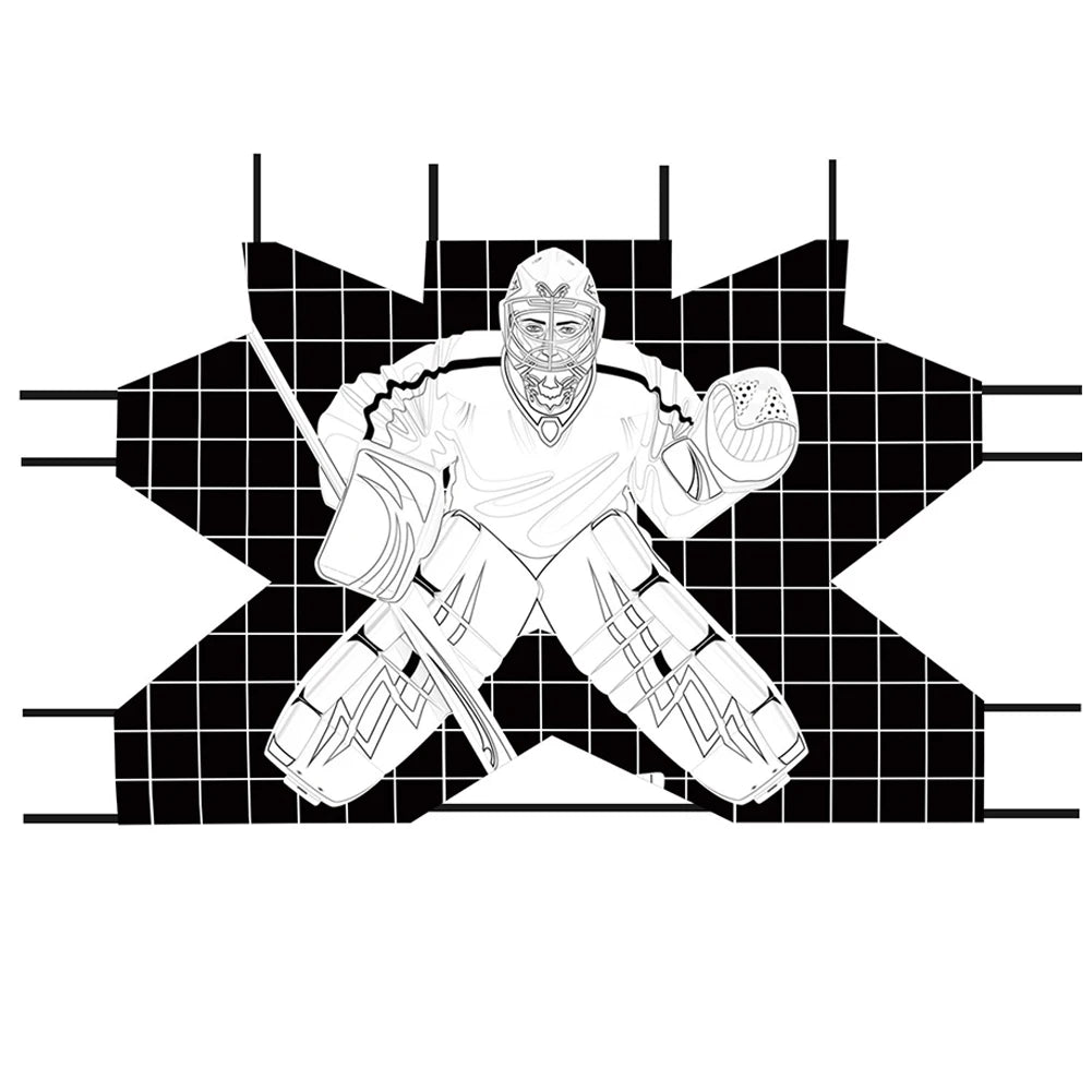 APWIKOGER Hockey Goalie Target Street Net Practice Aid