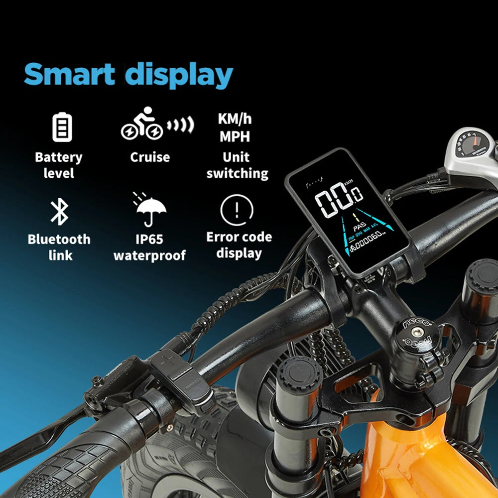 Randride 1000W Dual Motor Electric Mountain Bike