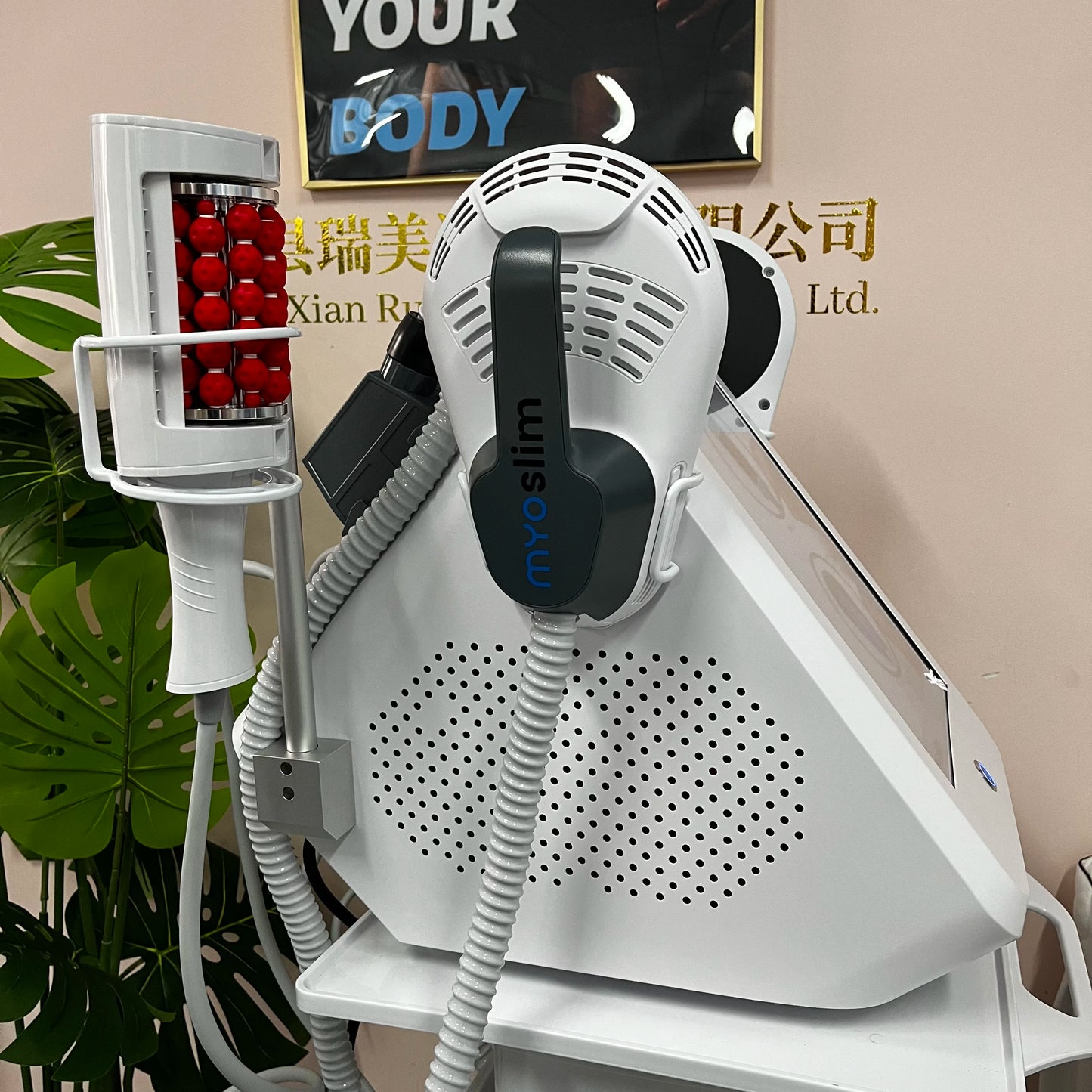 MYOSLIM 360 Degree Vacuum Massage Roller For Cellulite